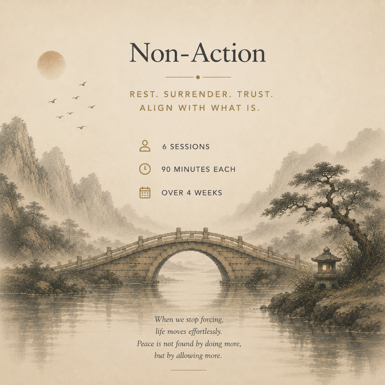 (Non) Action program artwork
